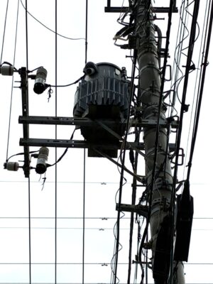 IMG_9640.jpeg